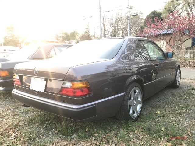 画像・写真 | W124メルセデス・ベンツ300 CE-24 販売車両／希少色