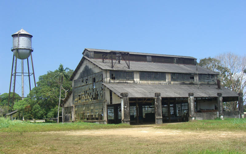 フォードランディア(Fordlandia)