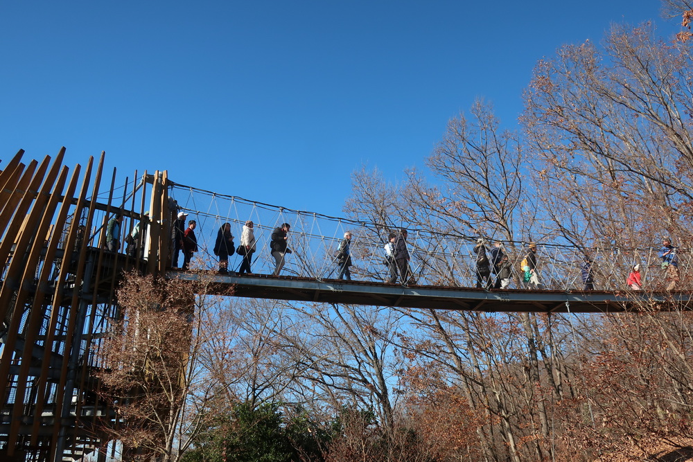 約640haという広大な面積の『モビリティリゾートもてぎ』だが、使用しているのは約30%で、残りは自然のまま。