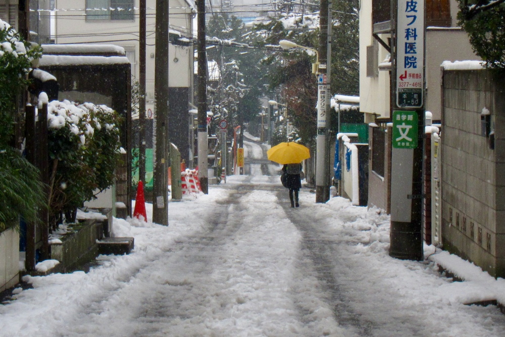 数年間に東京都内で積雪があったときの様子。