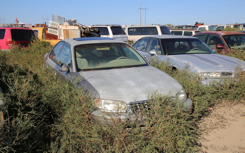 キャデラック・カテラ - 1996年