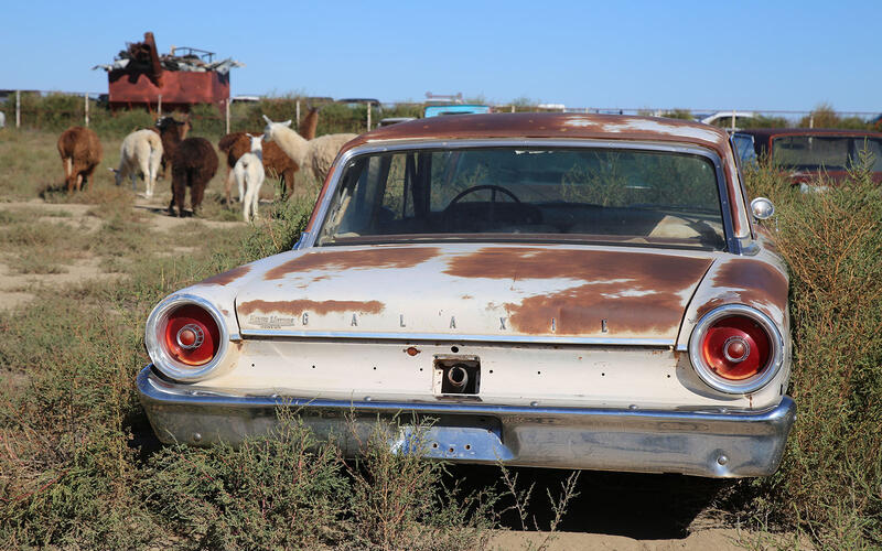 フォード - 1963年