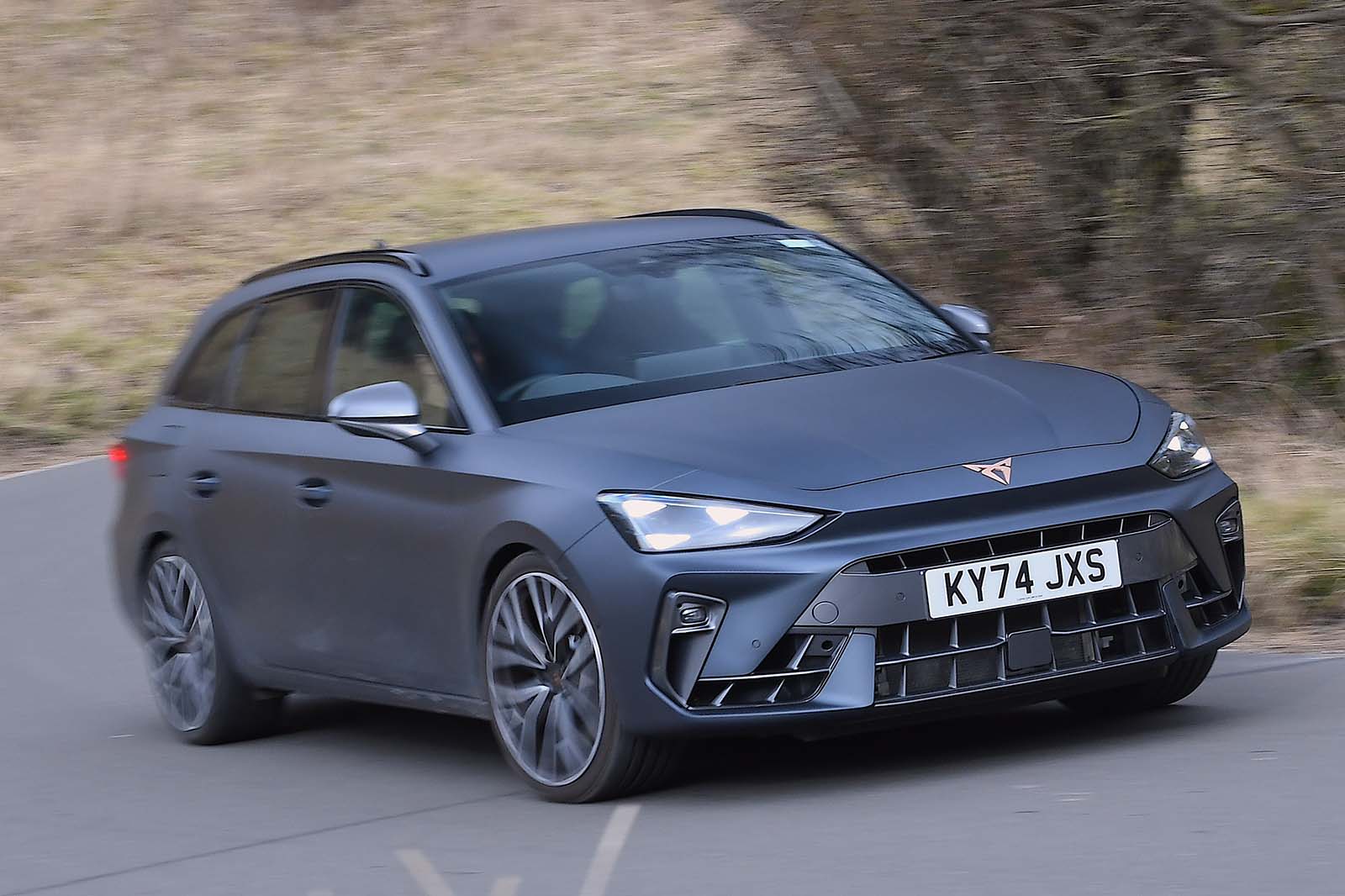 10. クプラ・レオン・エステート